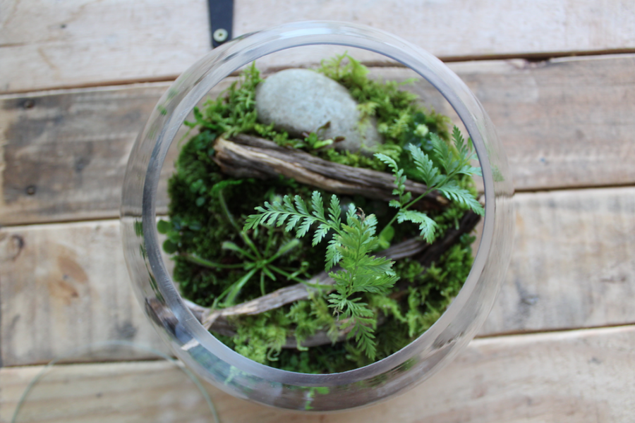 Screenshot 2022-07-04 at 15.36.36